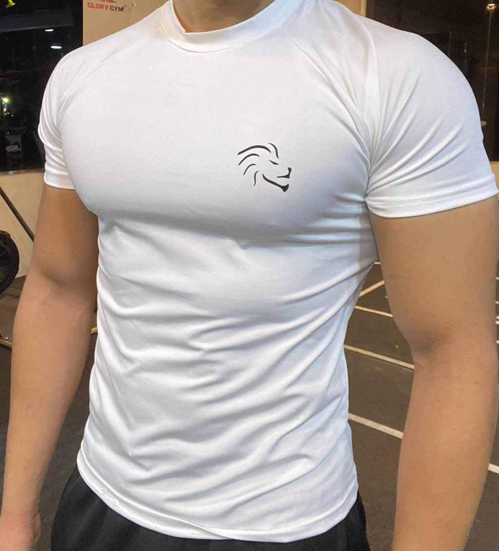 Alpha white legacy compression